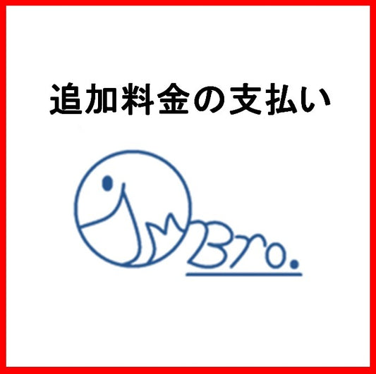 追加支払い部分の料金