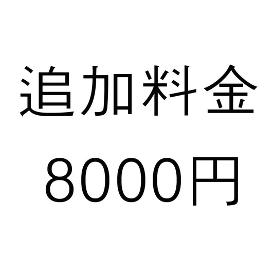 追加料金+8000円