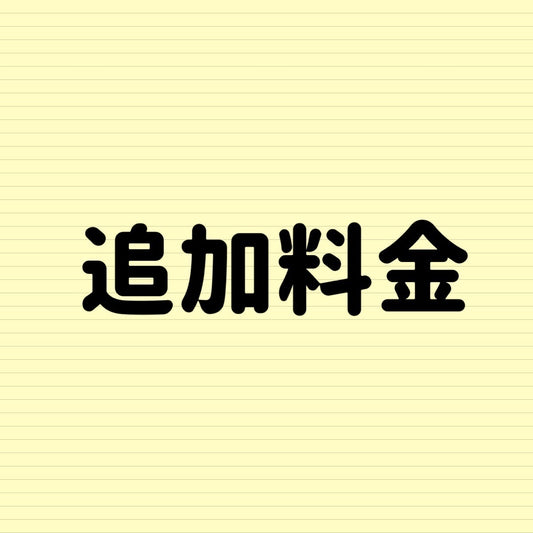 追加料金6000円