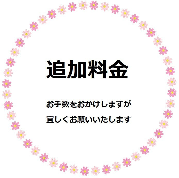 追加料金ご精算ページ