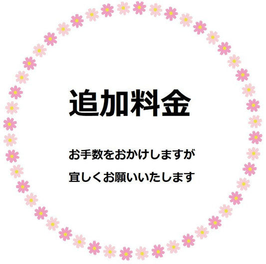追加料金ご精算ページ