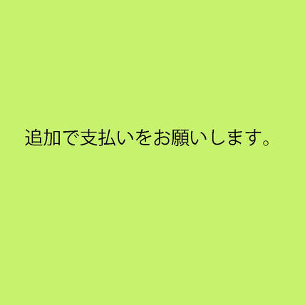 追加で支払いをお願いします。