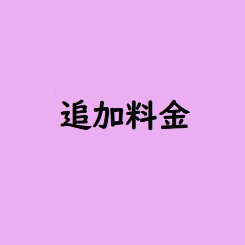 追加料金