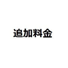 追加料金　20000円